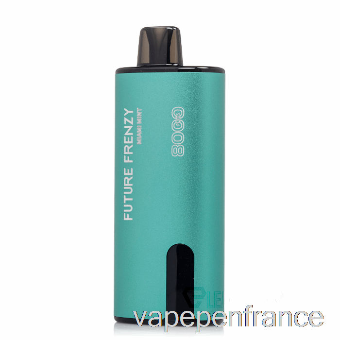 Stylo Vape Jetable à La Menthe Miami Future Frenzy 8000